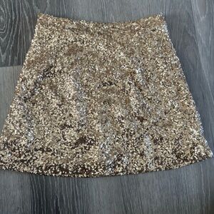 Banana Republic Gold Sequin Mini Skirt